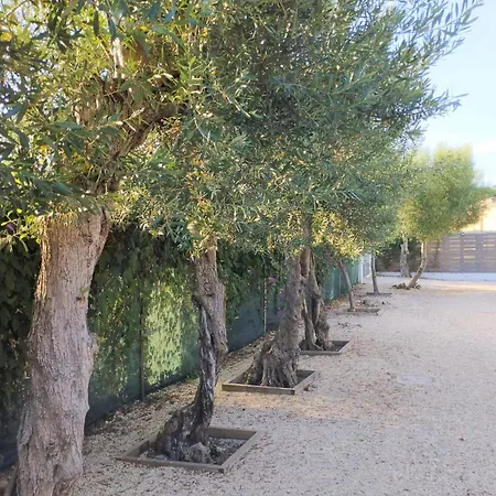 Gli Oleandri 3* 吉诺萨滨海